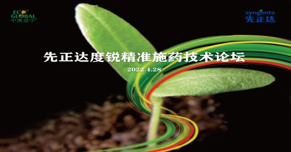 b体育入口:扎根大地的“梧桐树”